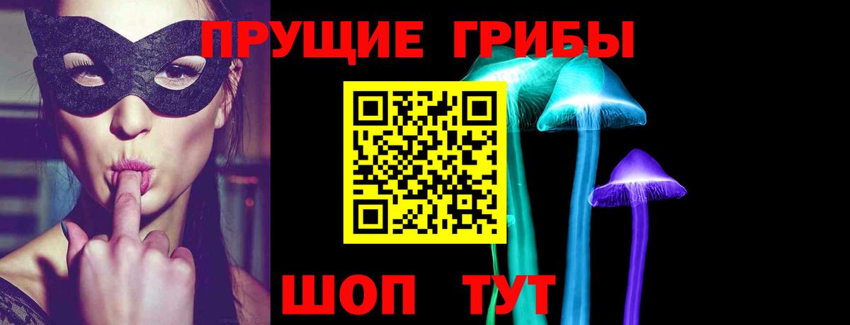 Назрань  что такое   Вход с VPN  Псилоцибиновые грибы GOLDEN TEACHER 