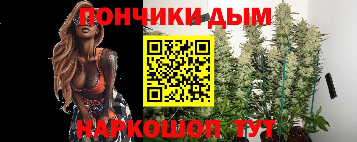 Назрань  Канабис сатива  Конопля VHQ  Марихуана ГИДРОПОН  МАРИХУАНА LSD WEED  Вход с VPN 
